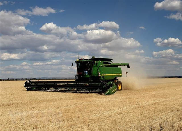 Quái vật John Deere thu hoạch lúa gấp nhiều lần máy thông thường