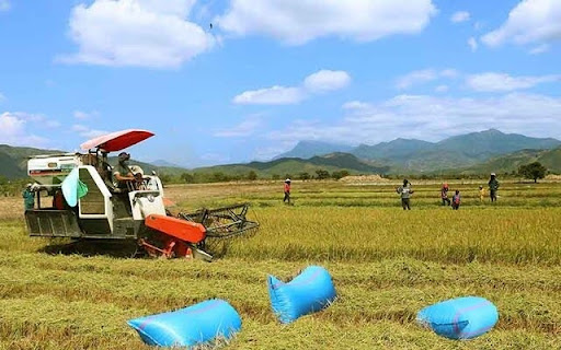 Đảm Bảo Lịch Thời Vụ Giúp Tăng Năng Suất Cây Trồng