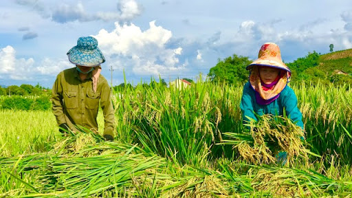 Khí Hậu, đất đai ở Mỗi Miền Là Khác Nhau